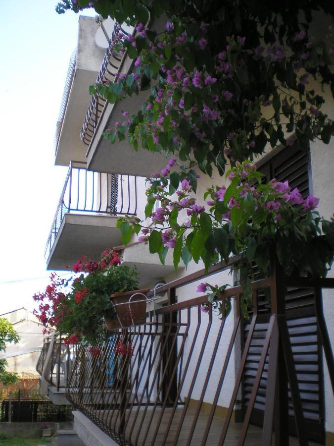 Apartmani Danica 比奥格勒·纳·莫鲁 外观 照片